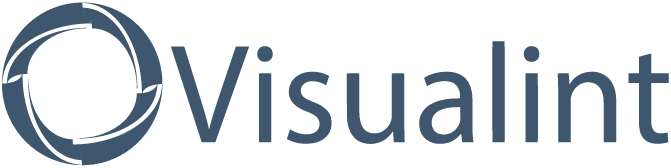 Visualint logo